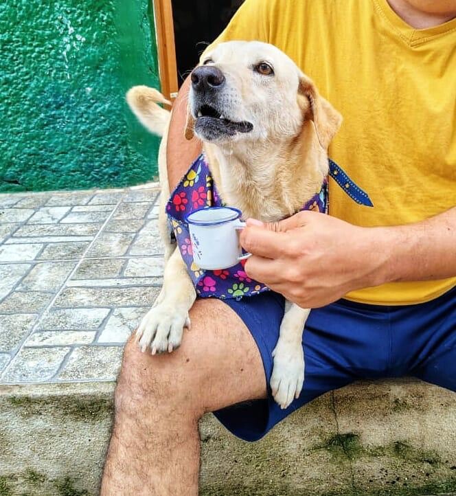 Perro de finca junto a una taza de café
